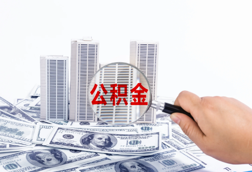 石家庄2025年政策调整对个人影响综合解析‌