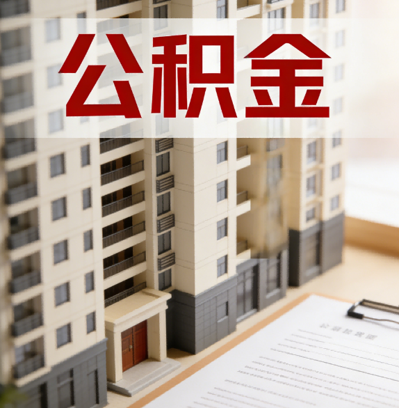 石家庄公积金代办行业新生态：从“跑腿中介”到“生活管家”的进化之路